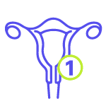 An icon depicting the uterus, with an encircled number 1 sitting next to the uterus.