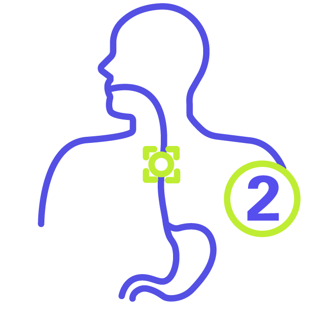 An icon representing the oesophagus, with the number 2 encircled next to it
