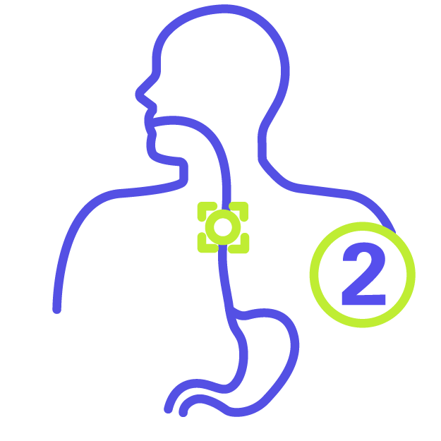 An icon representing the oesophagus, with the number 2 encircled next to it
